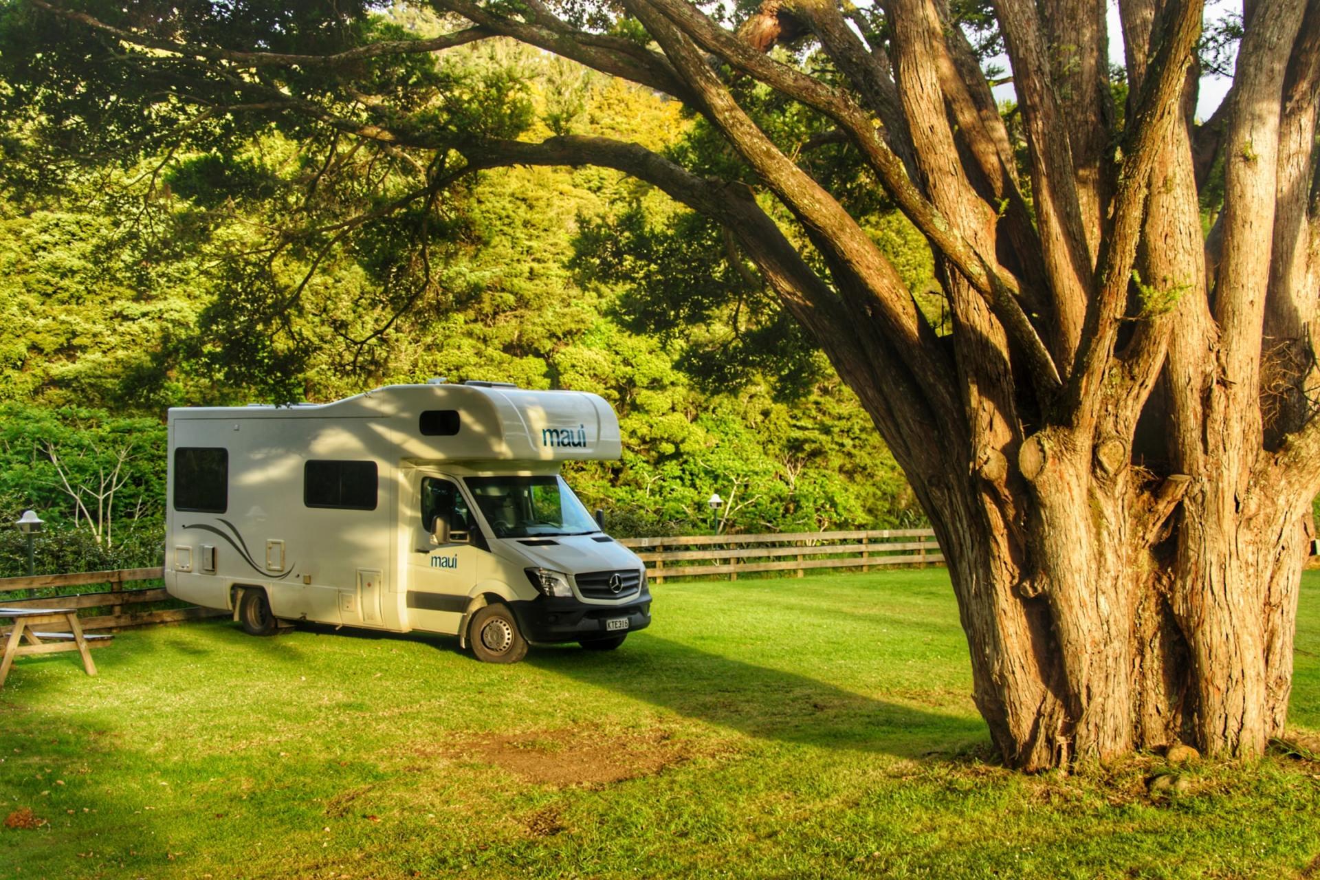 RV parked in a green field beside a tree